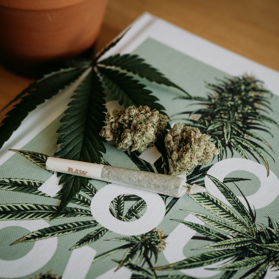 420 BONG SALE 30% OFF - The Bong Baron