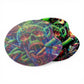 3D Smoking Skull Rolling Tray with Magnetic Lid 18 x 17cm - The Bong Baron